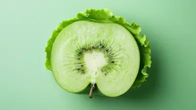 Dieta após cirurgia de vesícula