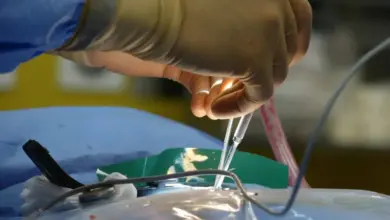 Hérnia Inguinal Tem Risco de Estourar?