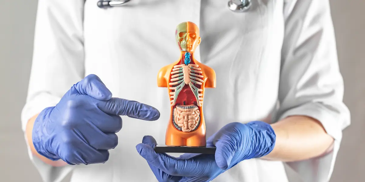 Médico Que Cuida do Intestino Dr. Thiago Tredicci