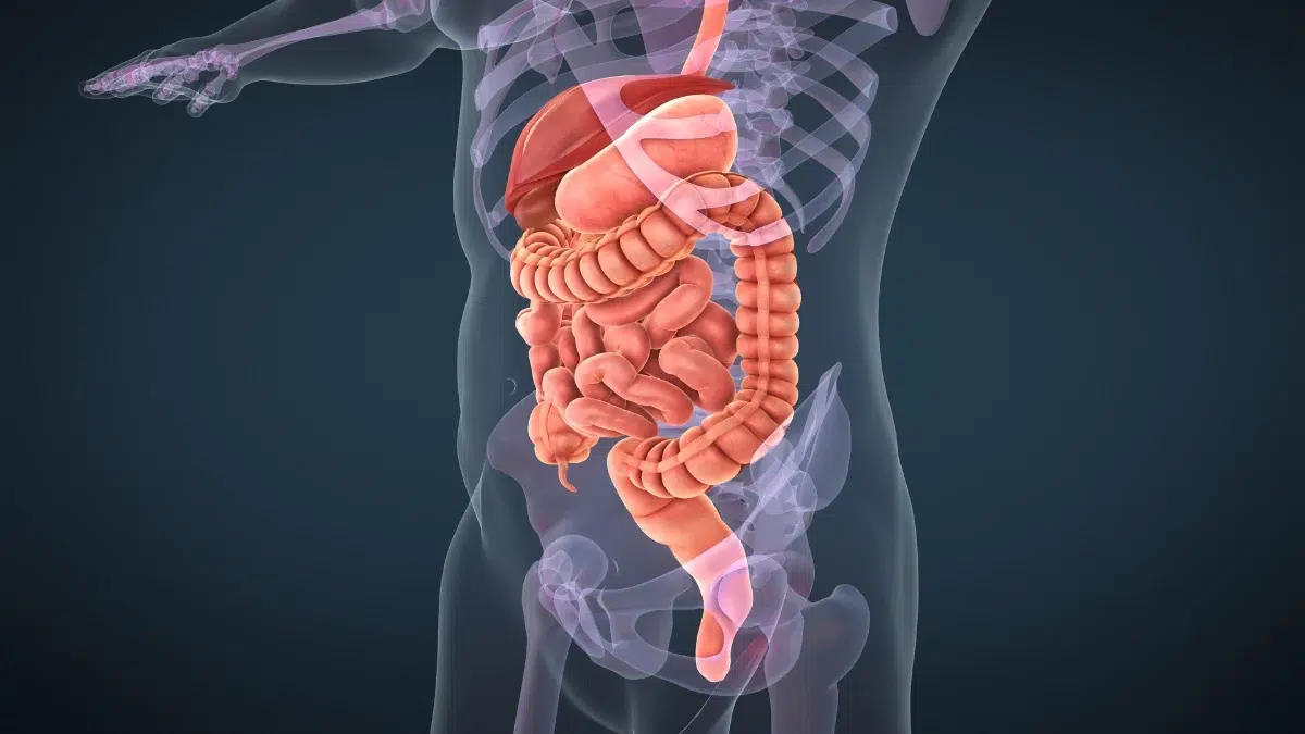 O que é Cirurgia do Aparelho Digestivo? Guia Completo
