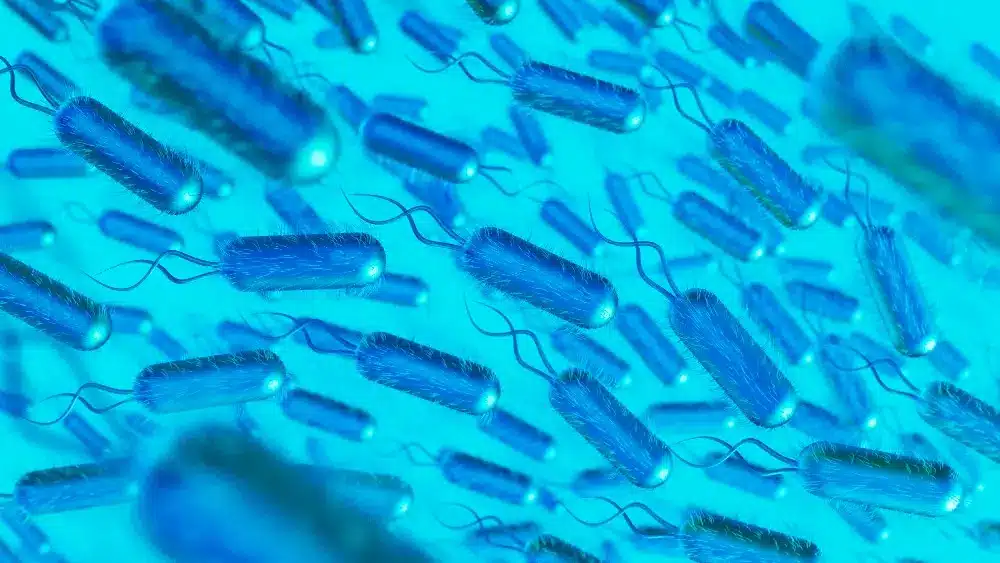 Por que tratar H. pylori