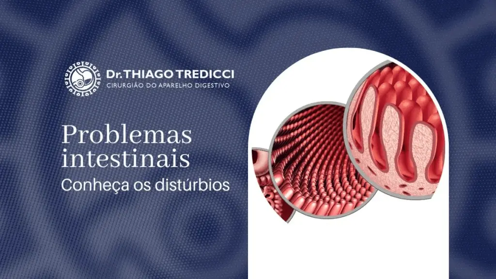 Problemas intestinais mais comuns