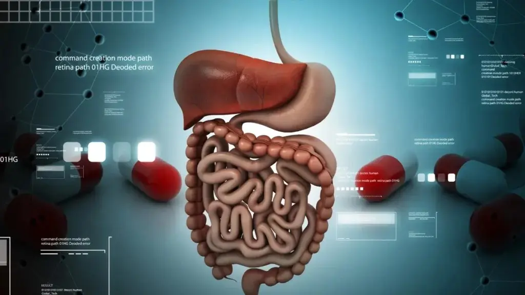 Tipos de Cirurgia do Aparelho Digestivo